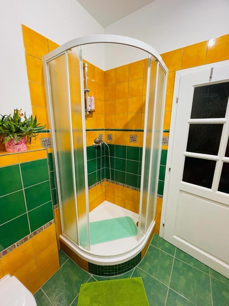 Apartman U Splavu Teplice nad Metuji Exterior photo
